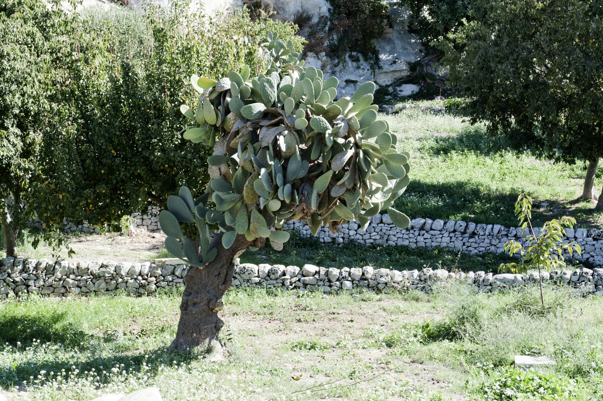 Valle Dell'Acanto Μόντικα Εξωτερικό φωτογραφία